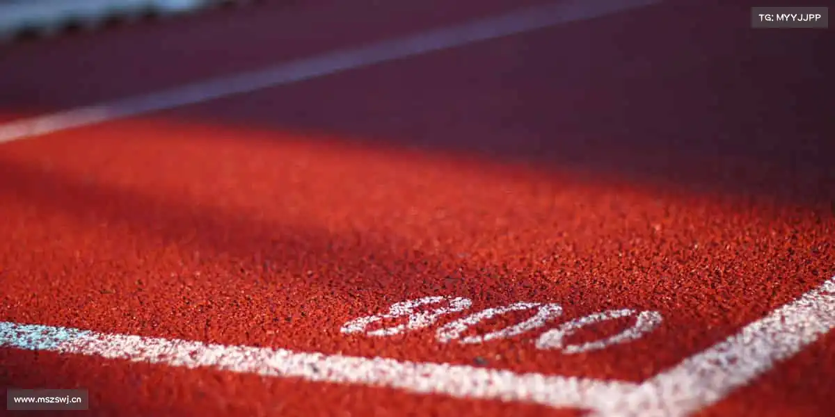 行业领先的理由